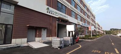 Shandong Sinovis EP Tech Co., Ltd