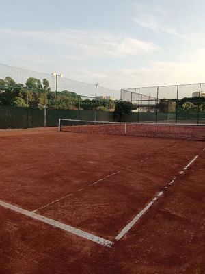 Basketball Field Liquid Soil Stabilizer For Road Construction Surface