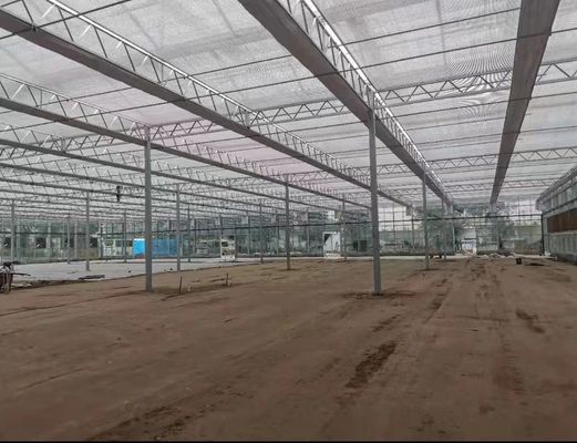 Vegetable Greenhouse Liquid Soil Stabilizer Breeding Soil Solidifying Agent