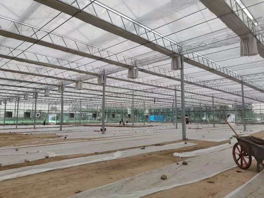 Vegetable Greenhouse Liquid Soil Stabilizer Breeding Soil Solidifying Agent