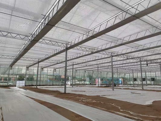 Vegetable Greenhouse Liquid Soil Stabilizer Breeding Soil Solidifying Agent