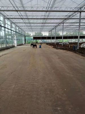 Vegetable Greenhouse Liquid Soil Stabilizer Breeding Soil Solidifying Agent