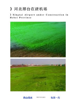Mineral Ash Road Dust Suppression Off White